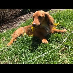 Meet your Posher, Julia